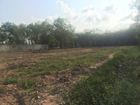 Cần tiền bán đất gần chợ Chánh Lưu giá tốt đầu tư sinh lời, thanh toán linh hoạt, pháp lý đủ