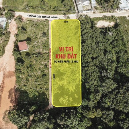 Rẻ nhất khu vực sở hữu ngay 1000m2 đất tại trung tâm thị trấn Cửa Dương, Phú Quốc