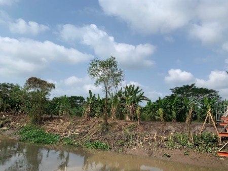 Đi đến slide 6