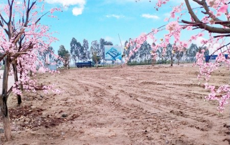 Đầu tư ngay Green Park Kim Đính, Kim Thành, giá chủ đầu tư, cơ hội sin lời, lh 0977312072