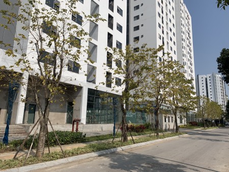 Căn 2 phòng ngủ Le Grand Jardin,51m2, view công viên siêu đẹp, Giá chỉ 1.8 tỷ, CK lên tới 6%
