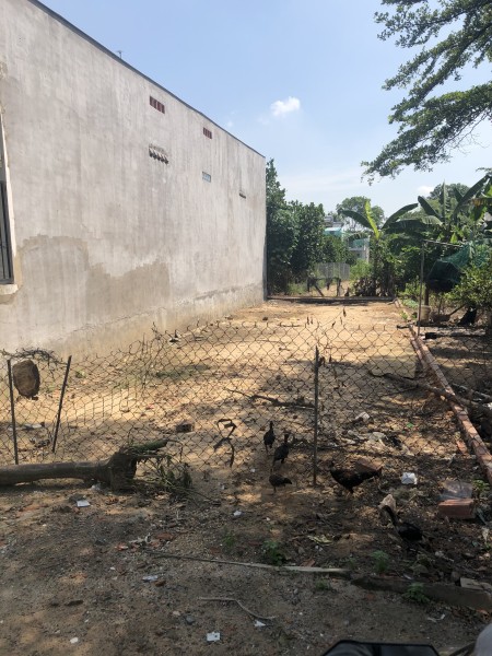 Gia Đình Tôi Có 2 Lô Đất mặt tiền đường bê tông 7m 100m2 5x20m và 125m2 (5x25m)
