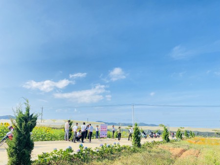 Đi đến slide 10