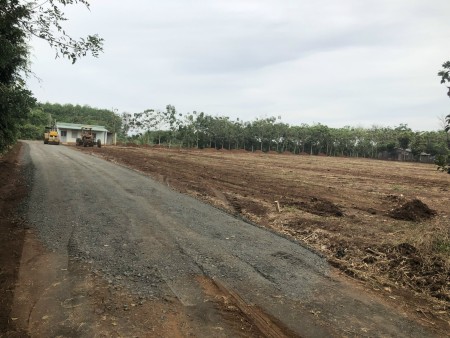 Đất Bình Phước giá rẻ khu đất phát triển tiện ích xung quanh đầy đủ, pháp lý chuẩn