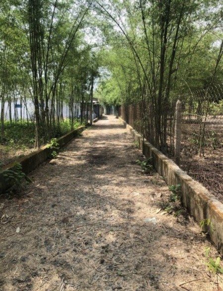Đi đến slide 2