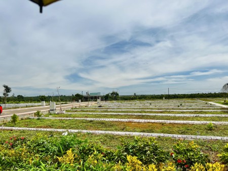 Đi đến slide 8