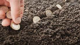 Chuyển nhượng hoặc cho thuê đất dài hạn Diện tích trên 18.000 m2 (trên 1,8 ha) tại Tiền Hải,