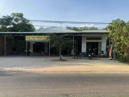 Đất thanh lý nằm cạnh hai khu công nghiệp lớn Bàu Bàng mở rộng và cây trường