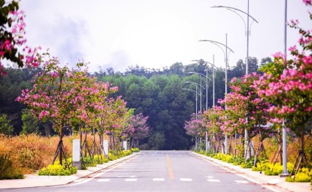 Đi đến slide 7