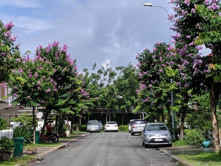 Đi đến slide 11