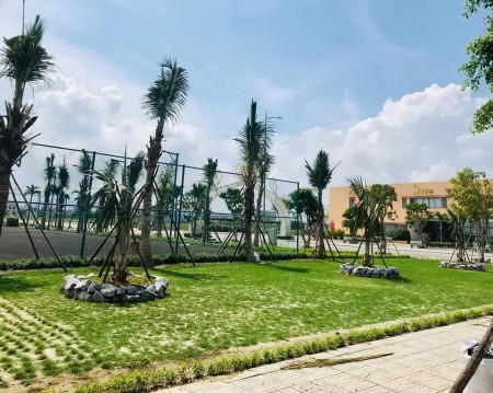 Đi đến slide 3