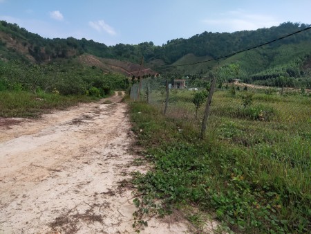 Bán đất vườn giá rẻ có 400m2 thổ cư, pháp lý chính chủ, bàn giao công chứng sang tên ngay