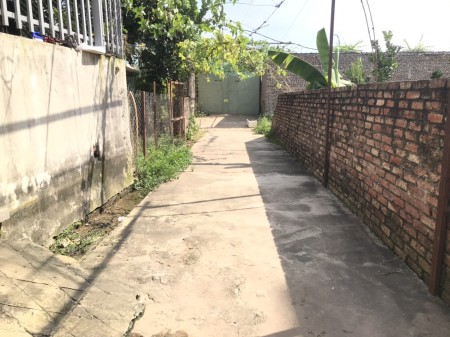 50,6m2 đất 2 mặt ngõ Xóm 4 Hải Bối - Xã Hải Bối đường rộng 3m sổ sẵn chính chủ, bàn giao ngay