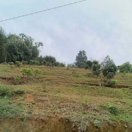 Đi đến slide 11