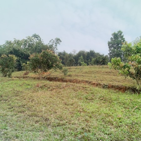 Đi đến slide 12