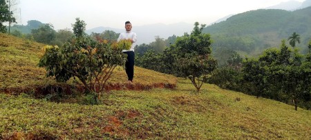 Đi đến slide 14