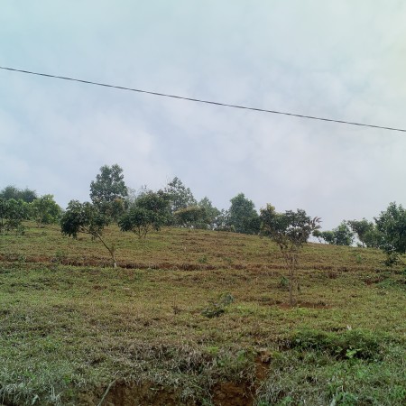 Đi đến slide 13