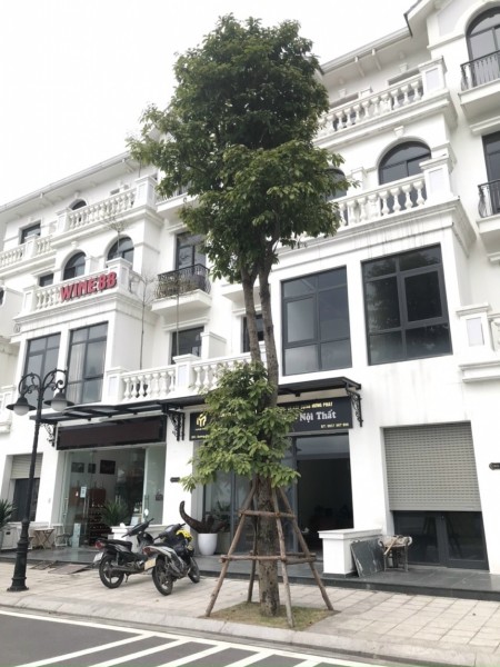 Chính Chủ Cần Bán Liền Kề Sao Biển Vinhomes Oceanpark Gia Lâm Hà Nội