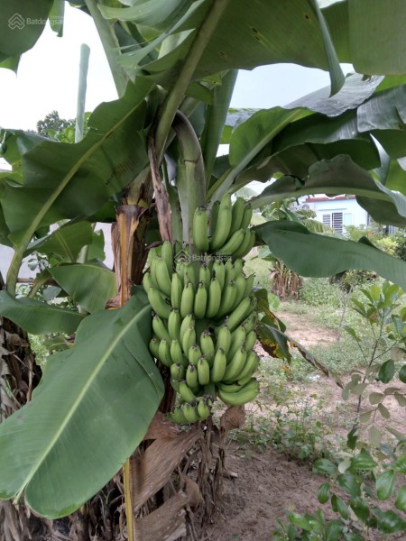 Đi đến slide 8