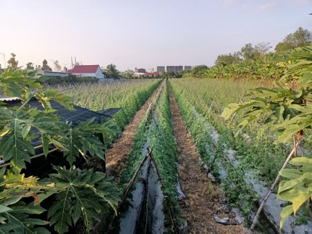 Đi đến slide 2