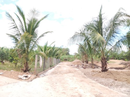 Bán mãnh vườn thôn 5 Diên Hồng, view sông bao đẹp, giá tốt tiện đầu tư, pháp lý đầy đủ