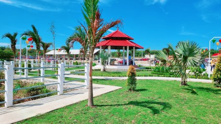 Đi đến slide 7