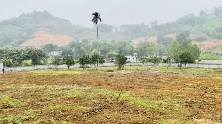 Đi đến slide 10
