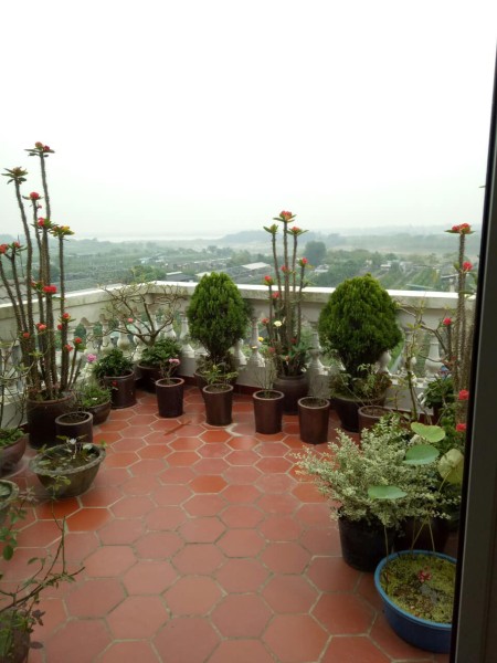 Đi đến slide 4