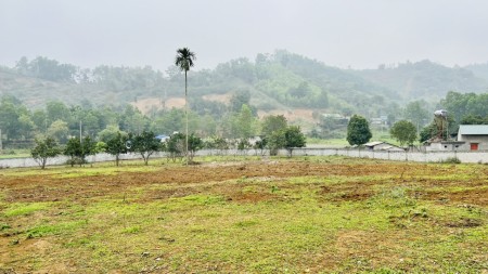 Đi đến slide 8