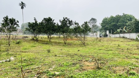 Đi đến slide 9