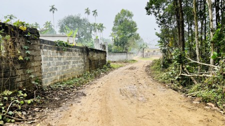 Đầu tư đầu tư sinh lời nghĩ dưỡng, Homestay lợi nhuận quá tốt, giá bán 2 triệu/m2, pháp lý