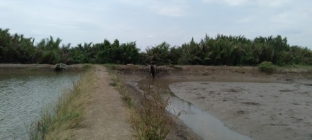 Đi đến slide 5