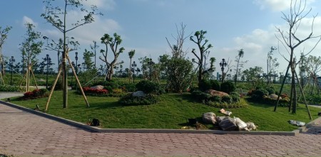 Đi đến slide 2