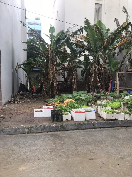 Bán đất Dọc Bún vỉa hè đá bóng hàng xóm Him Lam Vạn Phúc 50m2 nhỉnh 6 tỷ
