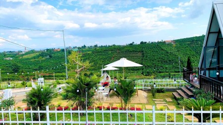 Đi đến slide 6