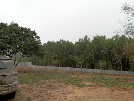 Đi đến slide 1