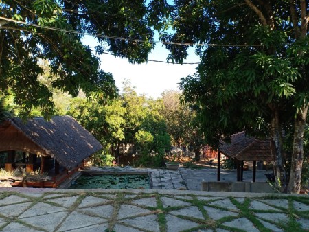 Đi đến slide 12