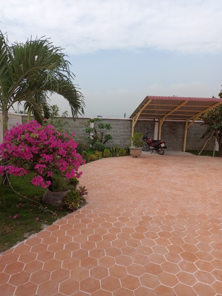 Siêu phẩm biệt thự mini xã Tân Lân, Cần Đước, Long An, DT 500m2.