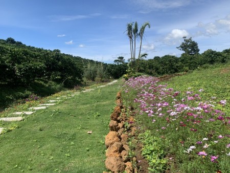 Đi đến slide 6