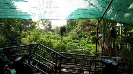 Đi đến slide 8
