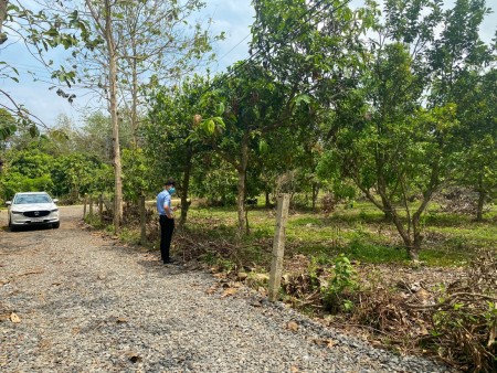 Đi đến slide 7