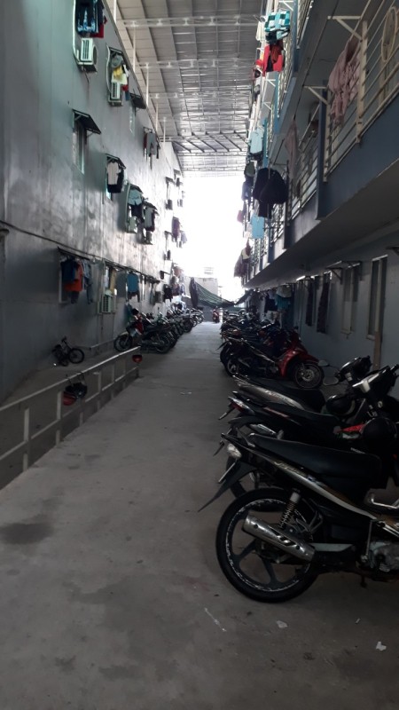 Cho thuê căn hộ mini khu vực Phan Huy Ích, f14, Gò Vấp, liên hệ 0981678952