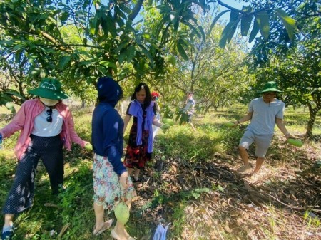 Đi đến slide 2