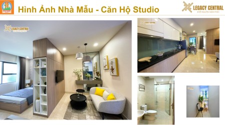 Đi đến slide 11