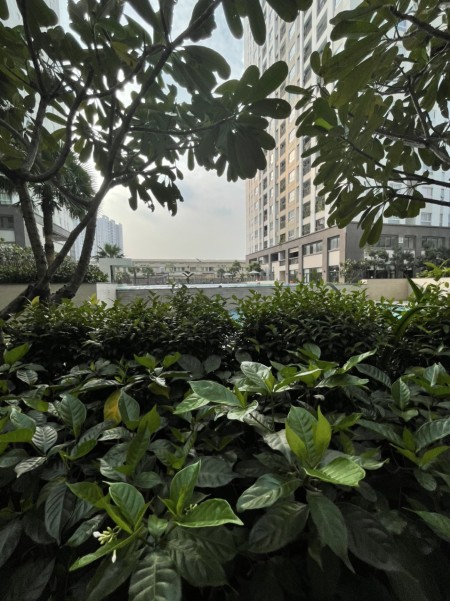 Đi đến slide 7
