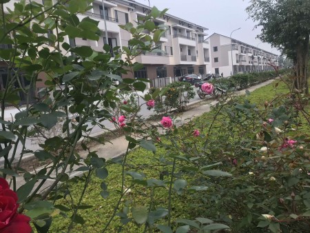 Bán gấp Shophouse góc vườn hoa trục đường 13m giá hữu nghị tại thành phố Từ Sơn