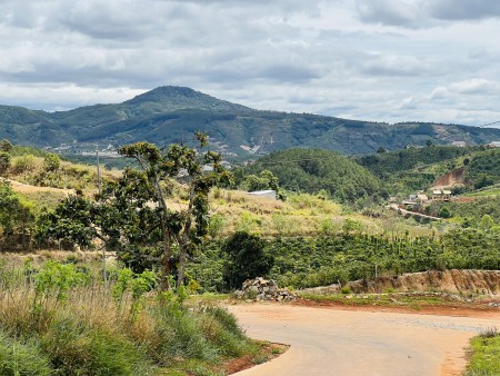 Đi đến slide 6