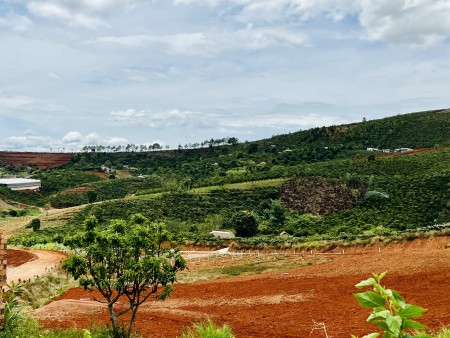Đi đến slide 7