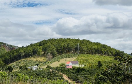 Đi đến slide 3