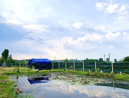 Đi đến slide 5
